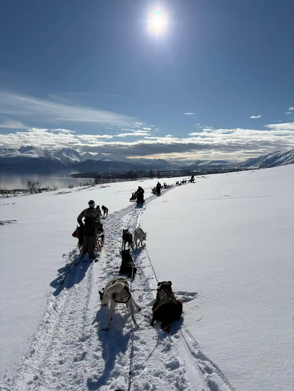 Dog sled team ascending snowy slope with mountains beyond