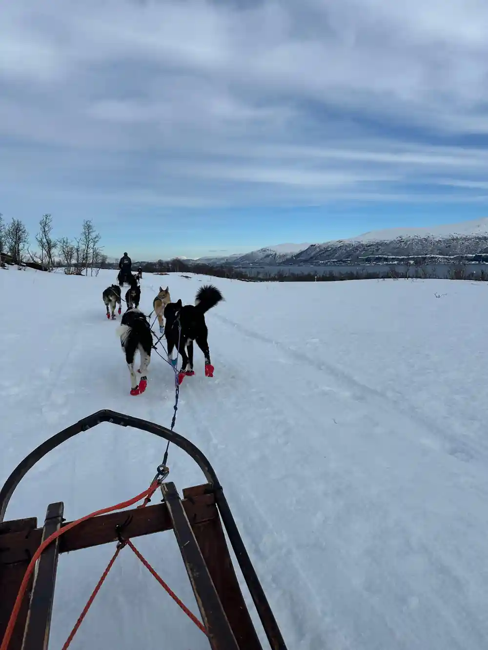 Dog sled team racing across snow with mountains behind