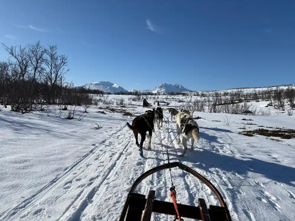 Dog sled team racing across snowy terrain with mountains behind