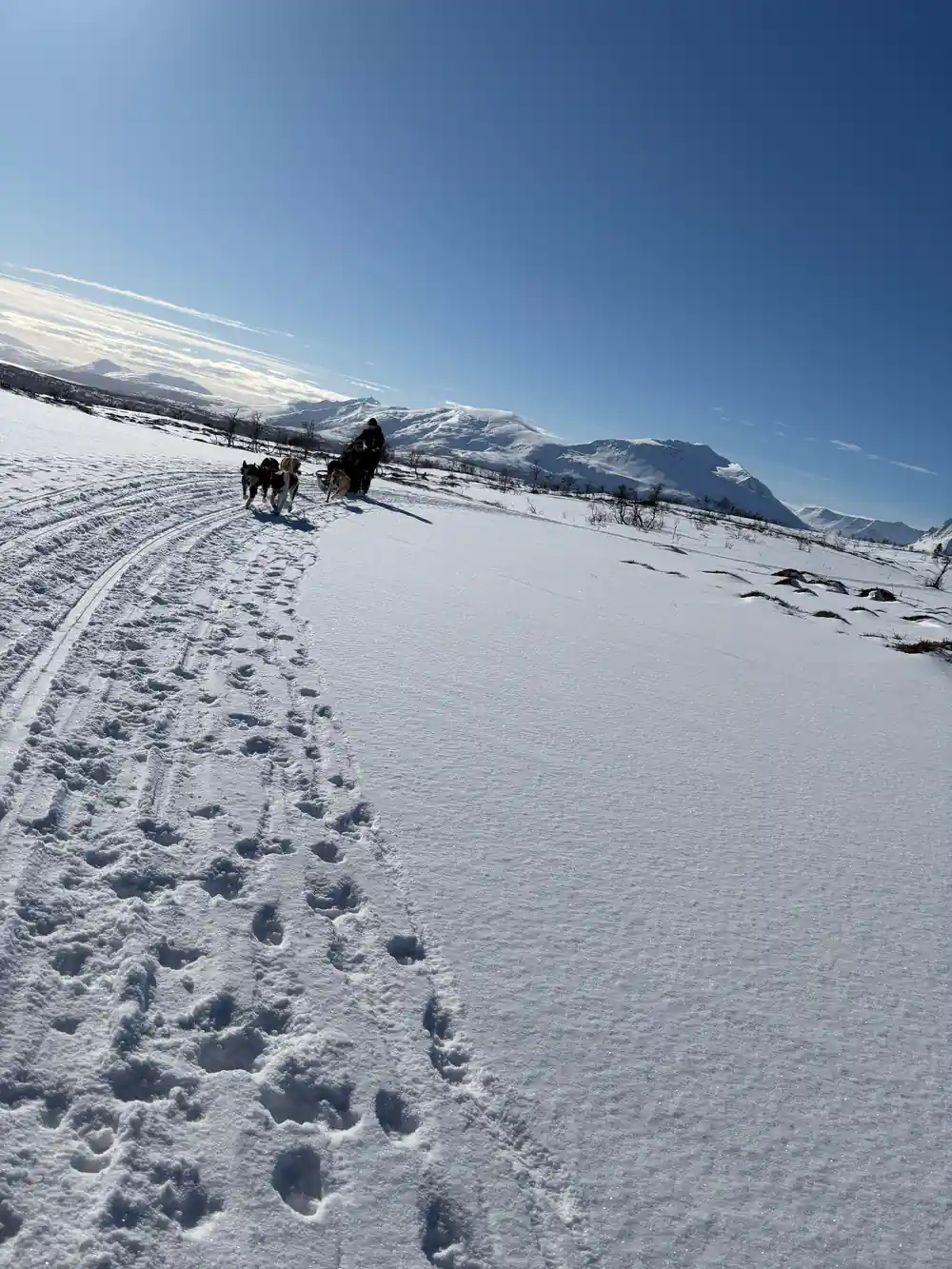 Dog sled team running across snowy landscape with mountains