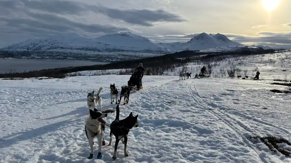 Dog sled team on snowy landscape with distant mountains