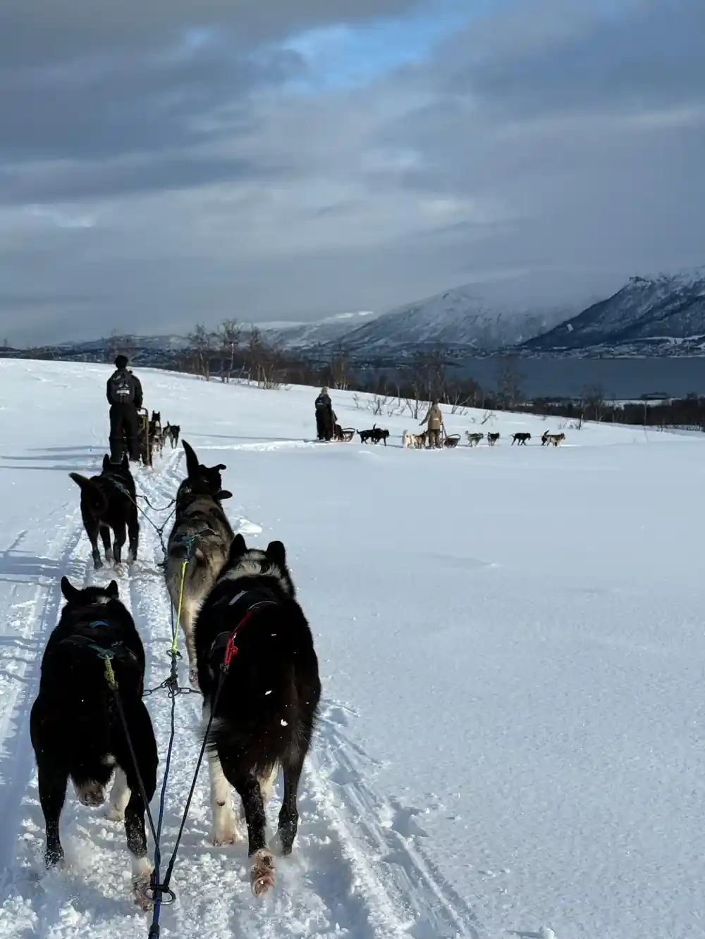 Dog sled team on snowy plain with snow-covered mountains