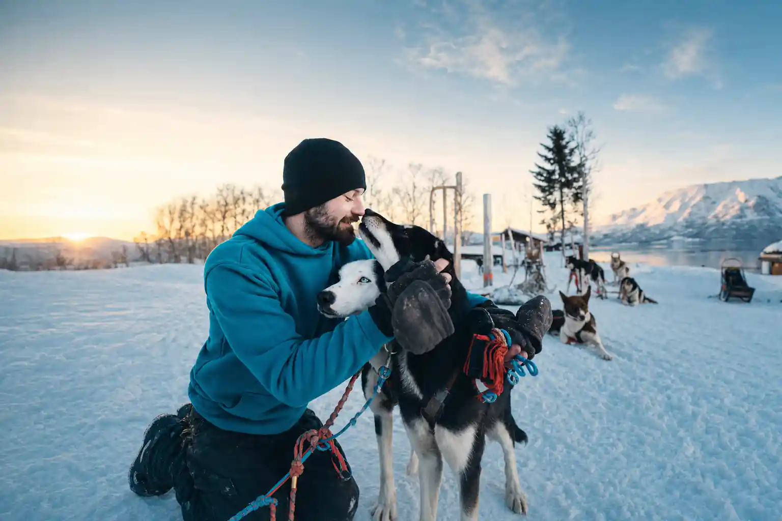 Self-Drive Husky Dog Sledding Adventure
