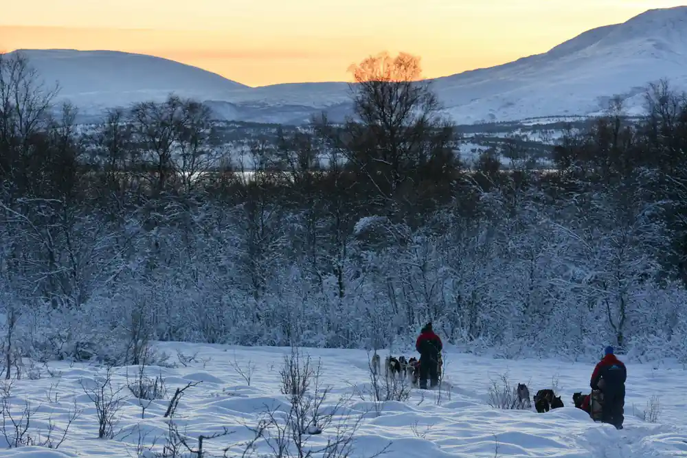 Musher with sled dog team in snowy mountain valley at dusk