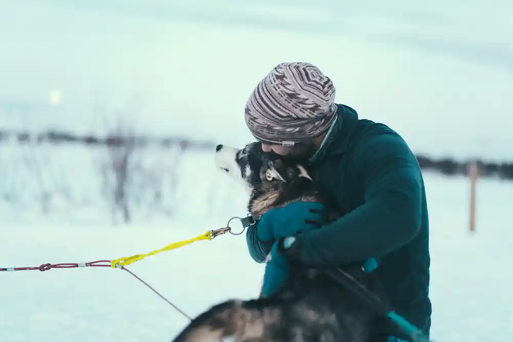 Person holding husky dog on snowy landscape