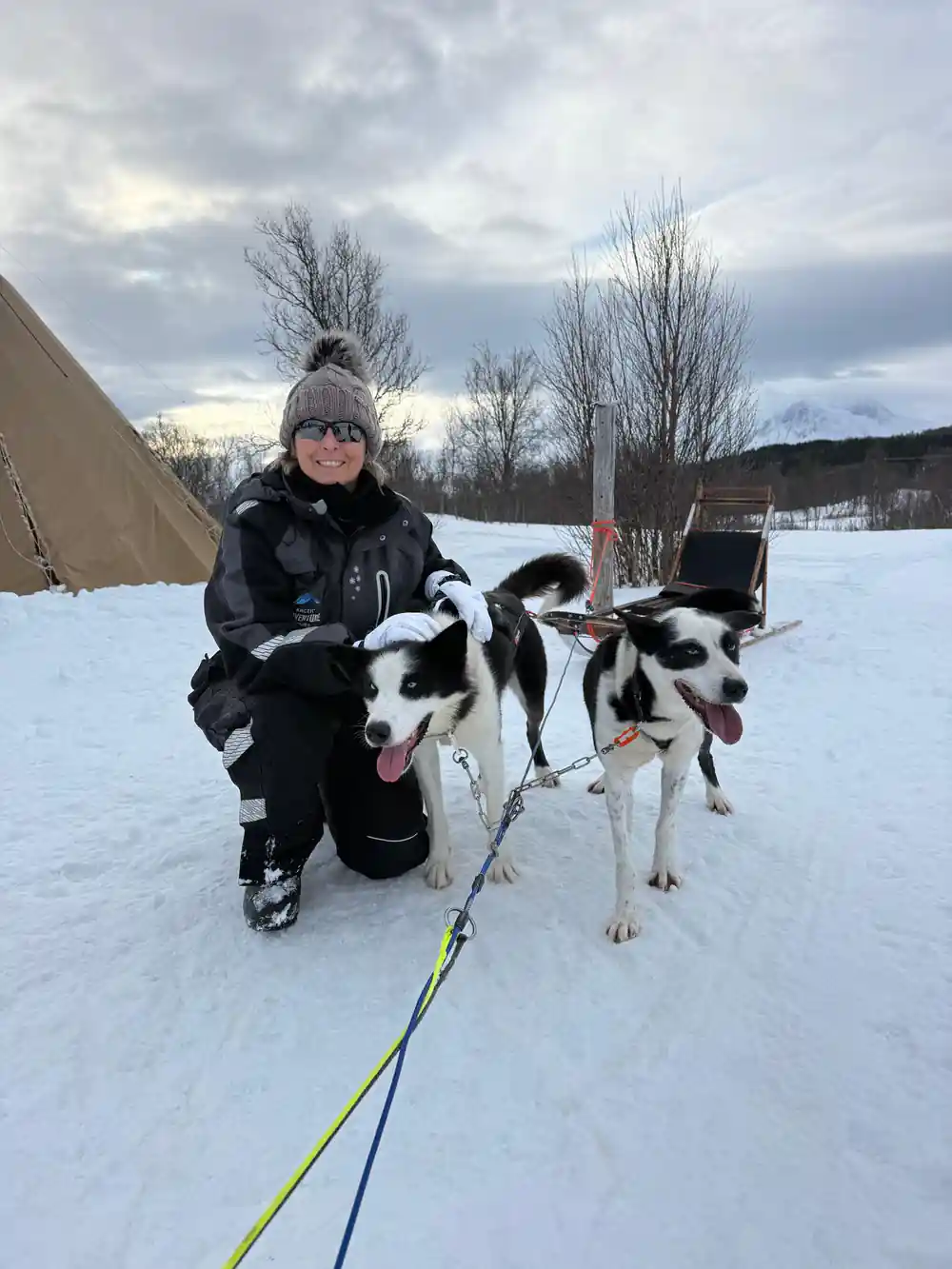 Person kneeling with two sled dogs in snow