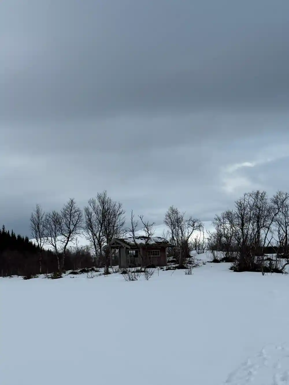 Snow-covered landscape with scattered wooden buildings and trees