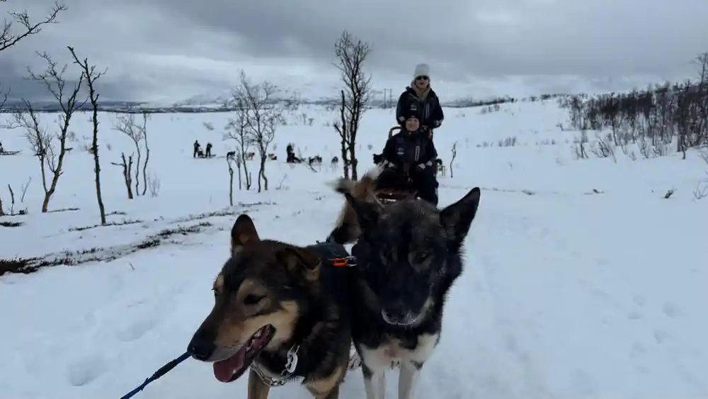 Team of sled dogs running across snowy landscape with mountains